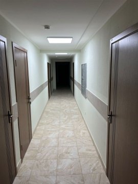 Студия, 2/3 эт., 20м²